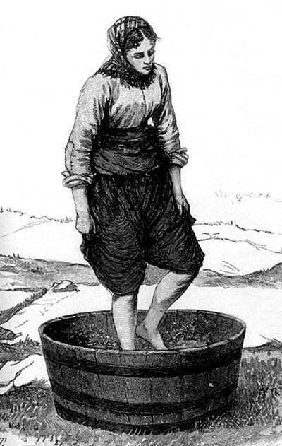 Суеверия викторианской Англии - i_102.jpg
