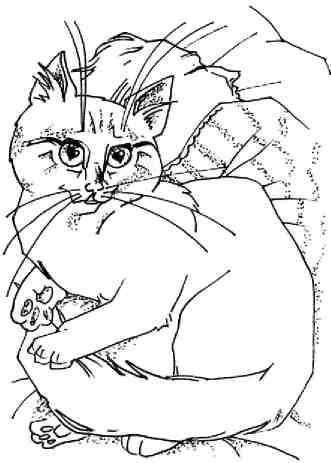 Кошки как дети - i_002.jpg