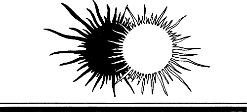 Дверь в лето (сборник) - i_015.png