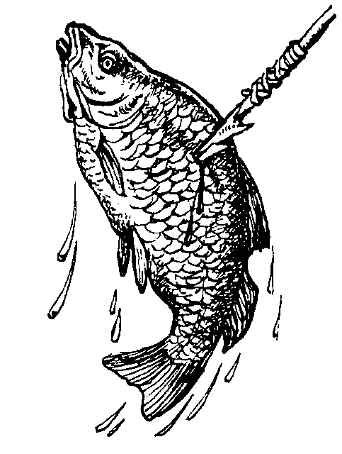 Борьба за огонь. Пещерный лев - img_23.png