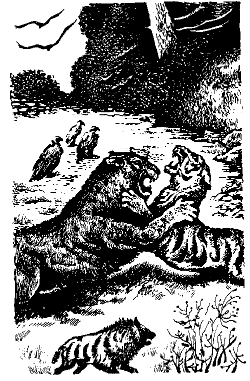 Борьба за огонь. Пещерный лев - img_7.png