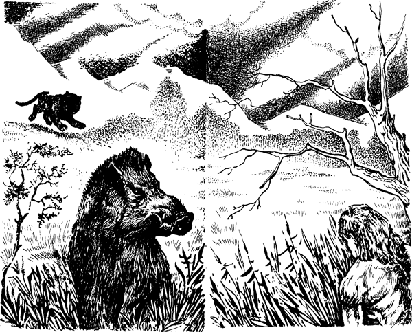Борьба за огонь. Пещерный лев - img_42.png