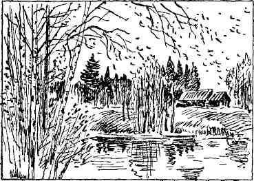 Десять тысяч шагов - img_24.jpeg
