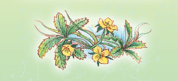 Тайна гранатовых зёрен - i_063.jpg