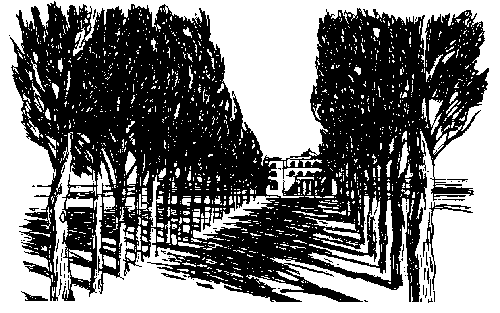 Женщина в белом (1992г.) - i_003.png