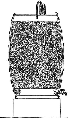 Ягодники. Руководство по разведению крыжовника и смородины - _135.png