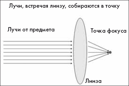 Как понять сложные законы физики. 100 простых и увлекательных опытов для детей и их родителей - _72.png