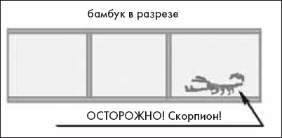 Как понять сложные законы физики. 100 простых и увлекательных опытов для детей и их родителей - _38.png