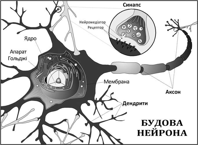Бот - _6.jpg