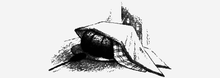 Пендервики на улице Гардем - img31.png