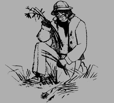 Пендервики на улице Гардем - img37.png