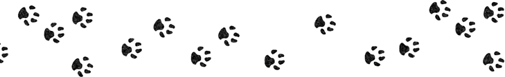 Зелёное заклятие - i_030.png