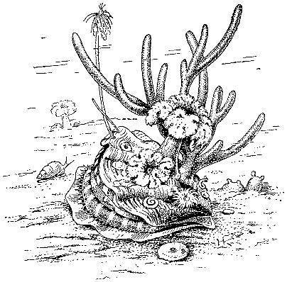 Море живёт - _118.jpg