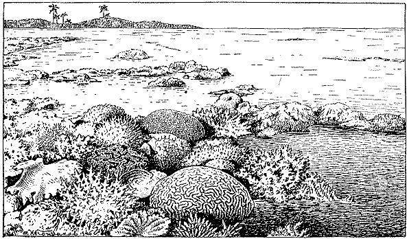 Море живёт - _27.jpg