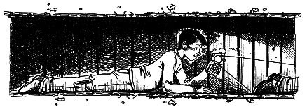 Книга путешественника во времени. Как не пропасть во времени и пространстве - pic_54.png