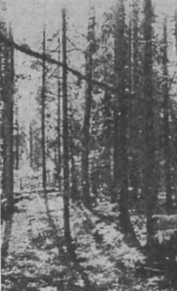 Беломорско-Балтийский канал имени Сталина - i_022.jpg