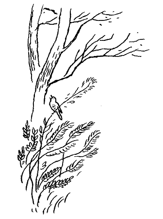 Природа донского края - i_027.png