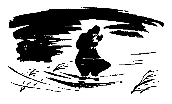 Товарищ Богдан (сборник) - i_057.png