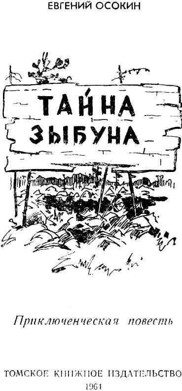 Тайна Зыбуна - img_1.jpeg