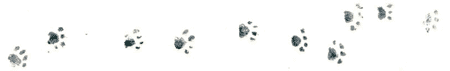 Рябиновое солнце - img29.png