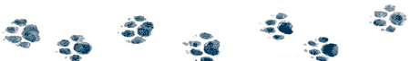Рябиновое солнце - img31.png