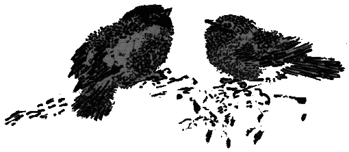 Рассказы и сказки - i_017.png