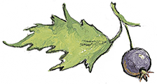 Мы все из Бюллербю (сборник) - i_062.png