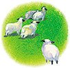 Мио, мой Мио! Художник А. Джаникян - i_017.jpg