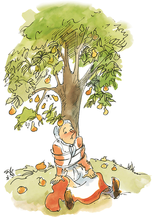 Приключения Эмиля из Лённеберги. Художник Н. Кучеренко - i_060.png