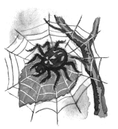 Городок в табакерке (сборник) - i_037.png