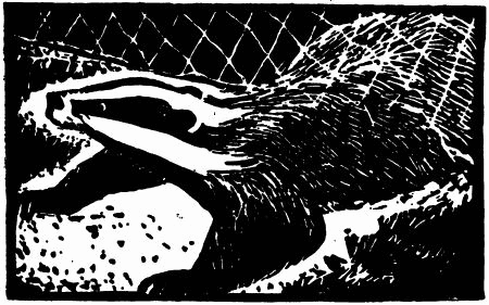Фридолин, нахальный барсучок - i_009.png