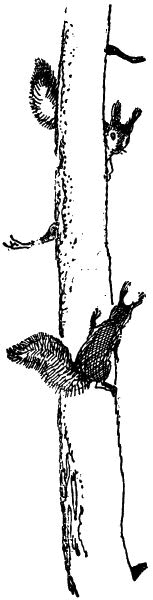 Черничные Глазки - i_021.png