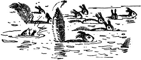 Черничные Глазки - i_028.png