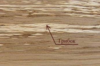 Типология разрушений памятников культуры - i_075.jpg