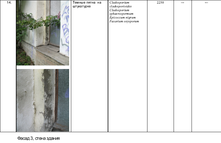 Типология разрушений памятников культуры - i_138.png