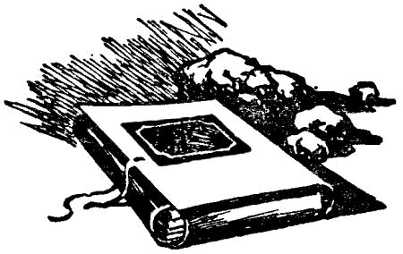 Загадка Большой тропы - i_018.png