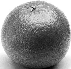 Детская книга для мальчиков - i_005.png