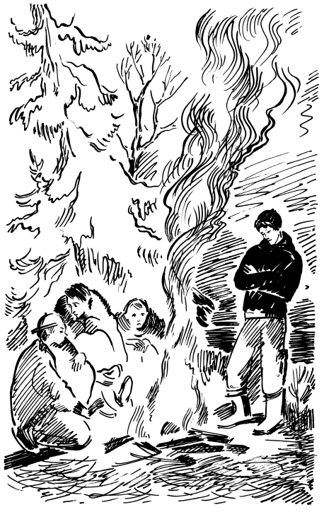 Ведьмины круги (сборник) - i_022.png