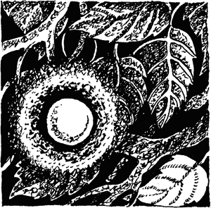 Детская книга для девочек - i_005.png