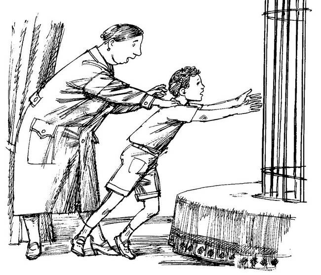 Сказочные повести (сборник) - i_010.png