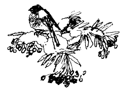 Заячьи лапы (сборник) - i_019.png