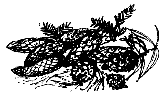Заячьи лапы (сборник) - i_020.png