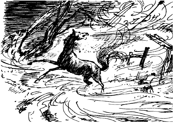 Заячьи лапы (сборник) - i_021.png