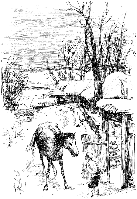 Заячьи лапы (сборник) - i_022.png