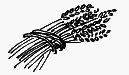 Волшебный короб. Старинные русские пословицы, поговорки, загадки - _041.png