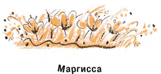Король-Рысь - i_020.jpg
