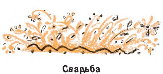 Король-Рысь - i_043.jpg