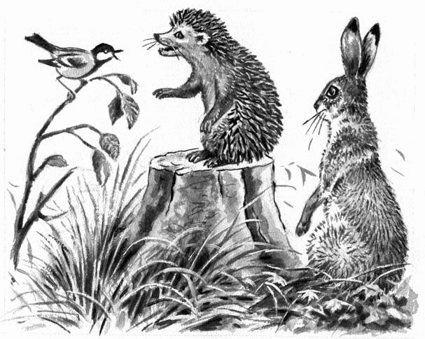Длиннохвостые разбойники (сборник) - i_030.png