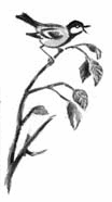 Длиннохвостые разбойники (сборник) - i_034.png