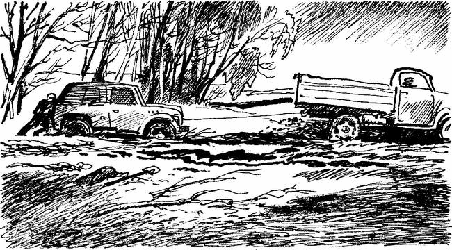 Камешки на ладони (сборник) - i_007.png